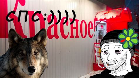 😱СПАС ВОЛКА ИХВИЛЬНИХТА ИЗ ПЛЕНА *********!!!!! ВОТ ОН НЕГОДЯЙ!!😱 ...