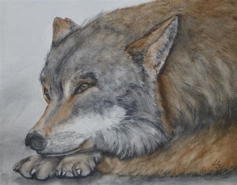 Red Wolf Painting at PaintingValley.com | Explore collection of Red ...