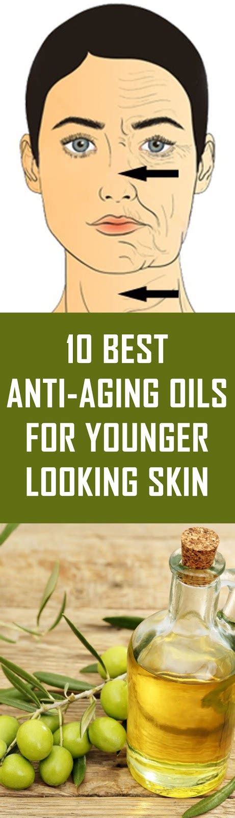 10 Best Anti Aging Oils For Younger Looking Skin Skiniez Lifestyle