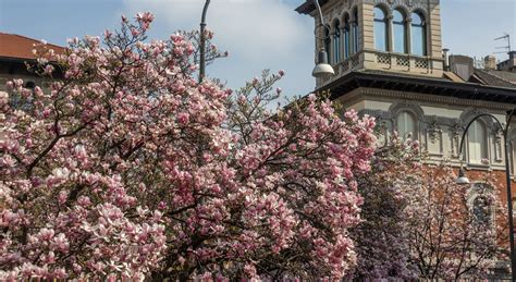 Previsioni Meteo Sull Italia Arriva La Primavera Sole Nel Weekend