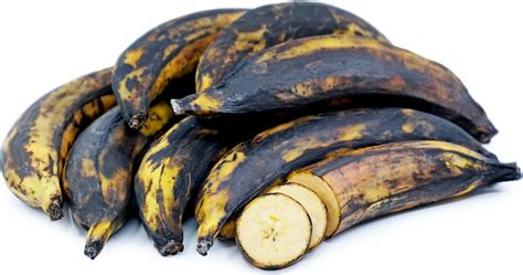 Black Plantain Bananas Information and Facts