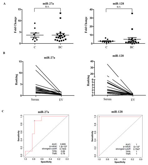 Ijms Free Full Text Mirnas In The Box Potential Diagnostic Role