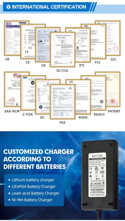 Fuyuang Odm Oem Portable Charger 12v 24v 36v 48v 60v 7a 300w Electric