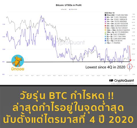 บิทดอย Bitdroid On Twitter วัยรุ่น Btc กำไรหด ล่าสุดกำไรอยู่ใน