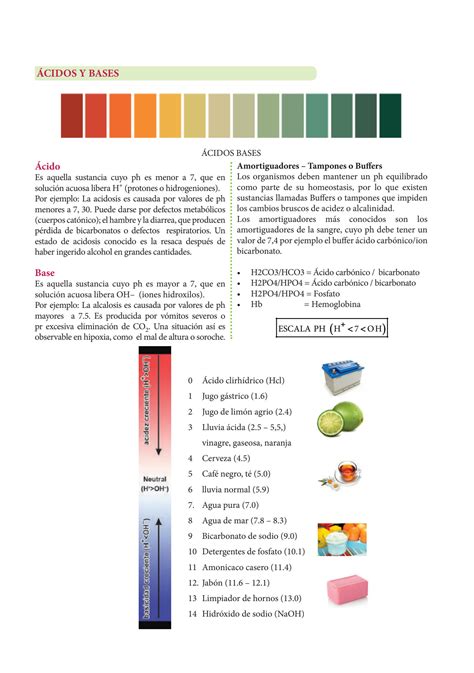 Solution Biomol Culas Inorg Nicas Para Cuarto Grado De Secundaria