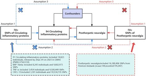 Frontiers Genetics Of Causal Relationships Between Circulating