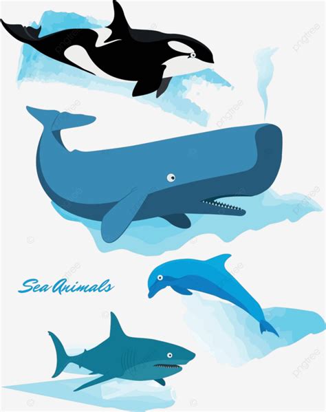 Serie De Criaturas Marinas Tiburón Ballena Delfín Y Orca Vector PNG