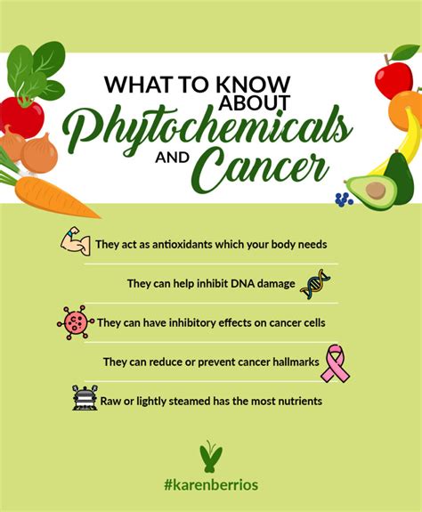 How Do Phytochemicals Prevent Cancer Karen Berrios Blog Wellness