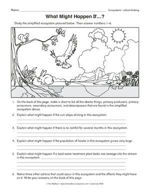 Introduction To Ecology Worksheets