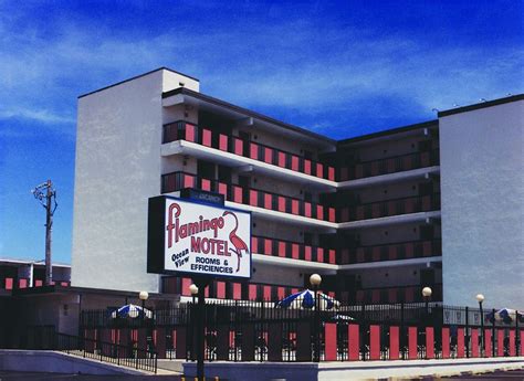 Discount Coupon for Flamingo Motel in Ocean City, Maryland - Save Money!
