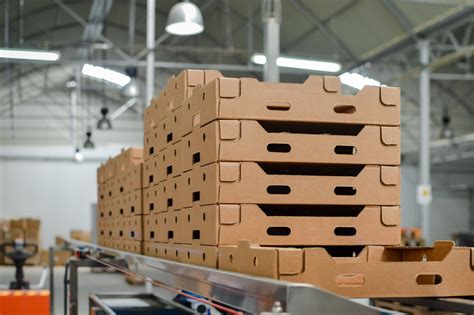 Hot Melt Adhesives Evans Adhesive