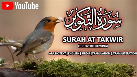 Surah At Takwir Quran Tilawat Beautiful Voice Surah Takweer Best