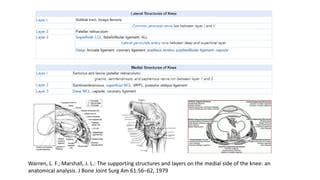 Knee Presetation Ppt Descarga Gratuita