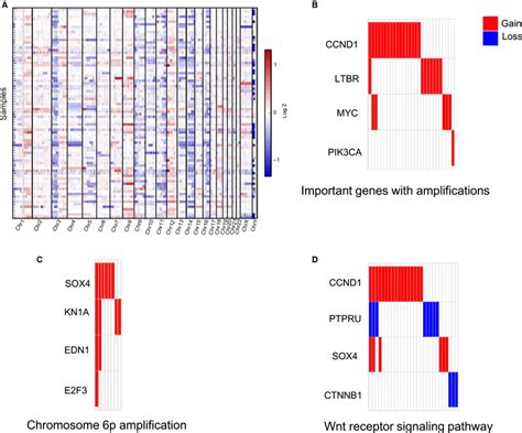 A Global View Of Somatic CNVs And Enrichment Analysis Of Recurrent CNV