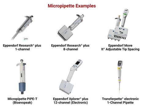 Micropipette Types Parts Working Uses 5 Examples