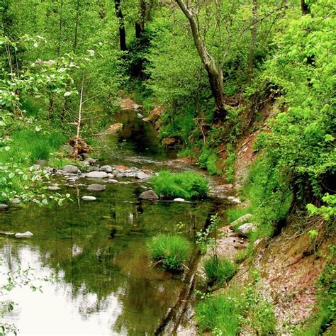 Oak Creek Canyon Sedona Lo Que Se Debe Saber Antes De Viajar Tripadvisor