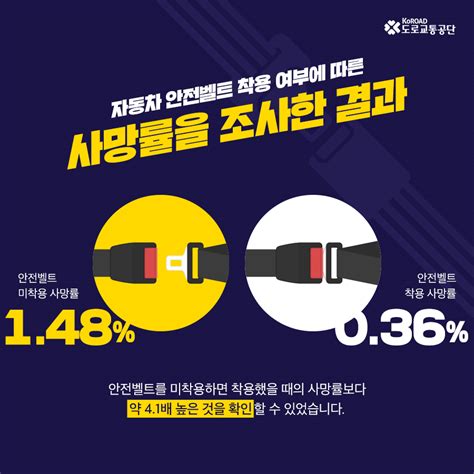 카드뉴스 전 좌석 안전벨트 착용 의무달라진 도로교통법