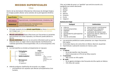 Micosis Superficiales Montserrat Salazar Olivares UDocz