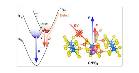 Photoluminescence Path Bifurcations By Spin Flip In Two Dimensional