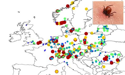 Tick Lyme Disease Uk Map 2019 Map Of Staten