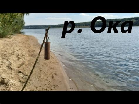 На Оку со своим живцом. Ловля на резинку - YouTube