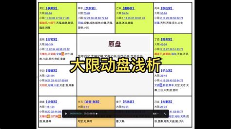 紫微斗数 案例分析 分享 大限动盘浅析 大限命宫 财帛宫 官禄宫 福德宫 原盘 行运 推运 解析 基础推运 Youtube