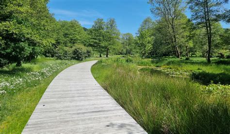 Boardwalk And Jetty Construction MJ Abbott