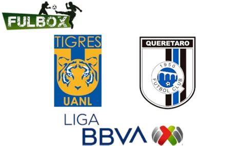 Tigres Vs Querétaro En Vivo Hora Canal Dónde Ver Jornada 7 Liga Mx