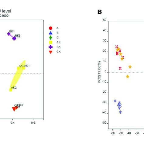 The Principal Coordinate Analysis Pcoa Plot Showing Variation In