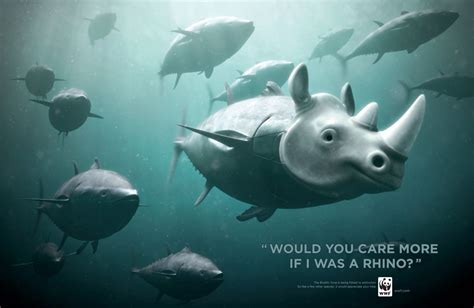 Wwf Endangered Animals Poster