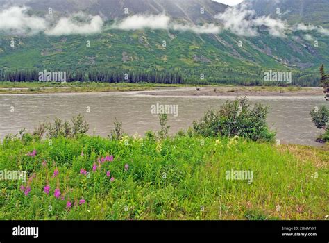 Alaska landscape in summer Stock Photo - Alamy