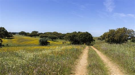 Entidade Regional De Turismo P E Todo O Alentejo A Caminhar R Dio