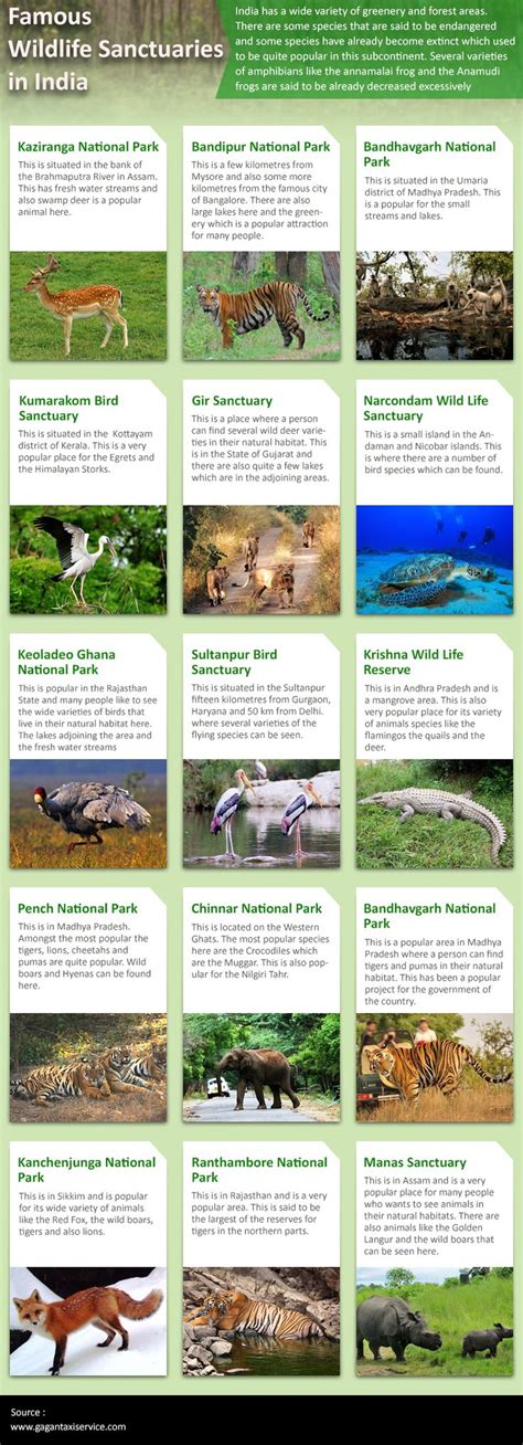 Wildlife Sanctuaries In India Viist Goo Gl Uhkryu