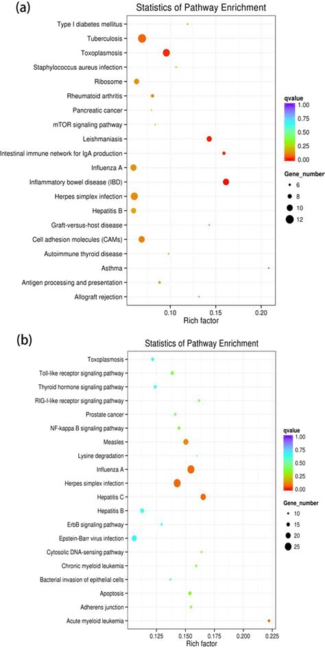 Scatter Plots Of Kegg Pathway Enrichment Statistics Top 20 Statistics