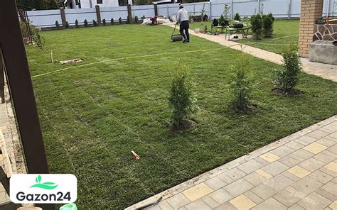Стандартный газон - купить в Москве по цене 184 руб./рулон | Gazon24