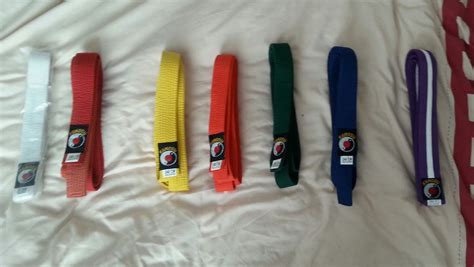 Best Of wado ryu karate belts in order Ryu wado karate arts