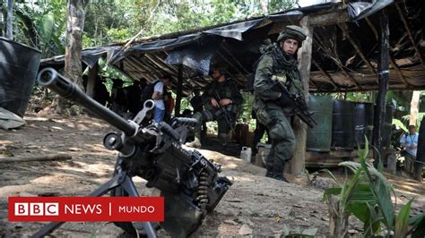 ¿qué Efecto Tendrá El Proceso De Paz Con Las Farc En El Narcotráfico