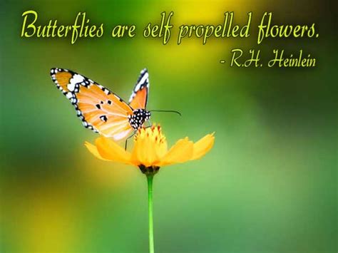 Spring Butterfly Quotes. QuotesGram