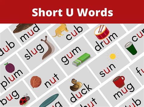 Short Vowel U Sound Words|CVC Words|Short Vowel 'u' Sound, 49% OFF