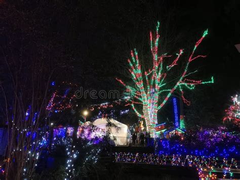 Christmas Lights In Stanley Park In 2023 Editorial Photo Image Of