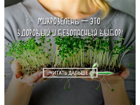 Микрозелень — это здоровый и безопасный выбор!