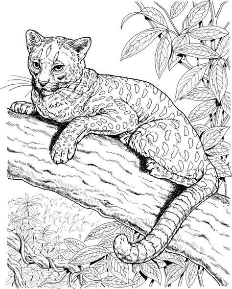 Realistic Jaguar Coloring Pages for Adults - ColoringBay