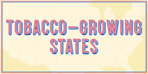 States That Produce The Most And Best Tobacco Holts Clubhouse