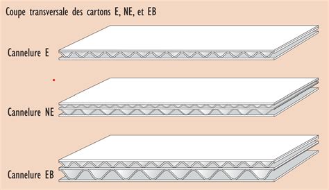 Carton Premier Duo Archival Ondul