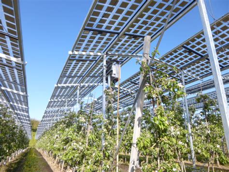 Agri PV Anlage Am Bodensee Positive Zwischenbilanz Mr Energiesysteme