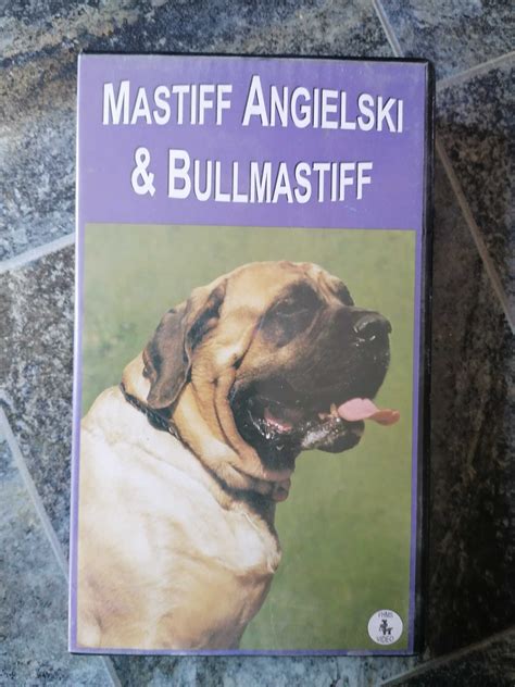 Kaseta Vhs Mastiff Angielski I Bullmastiff Film O Psach Pozna Stare