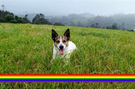 Walter was here Feliz día del Orgullo Gay