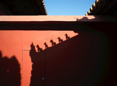 Shadows of dogs on a red wall. photo – Free Building Image on Unsplash
