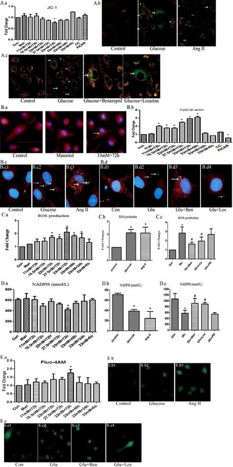 High Glucose Mediated Mitochondrial Damage To HUVECs Was RAS Dependent