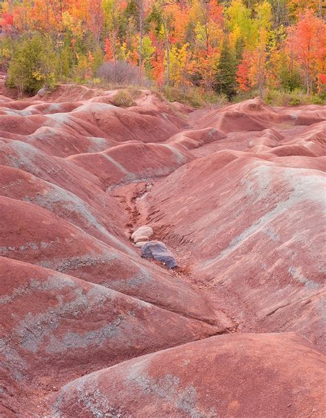 david leadbitter photography: Fall at the Cheltenham Badlands